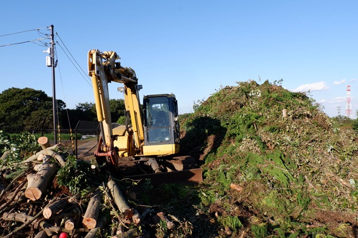 【茨城】伐採木を処分する流れや方法