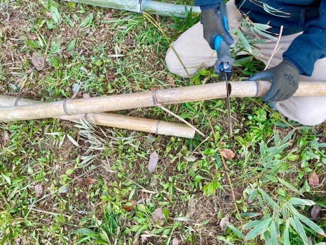 伐採した竹の処分方法とは?